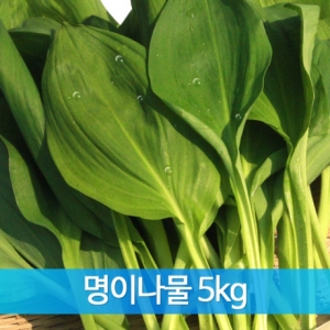 농업회사법인(주)들애초,생나물 명이(산마늘) 5kg