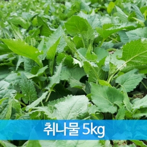 농업회사법인(주)들애초,생 취나물 5kg